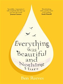 "Everything Was Beautiful and Nothing Hurt" by Reeves, Ben (Novelist)
