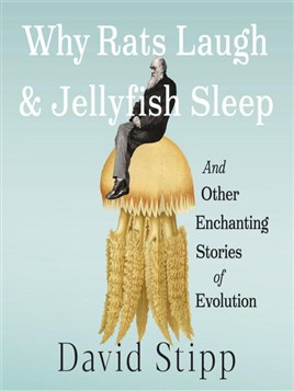 Why Rats Laugh and Jellyfish Sleep