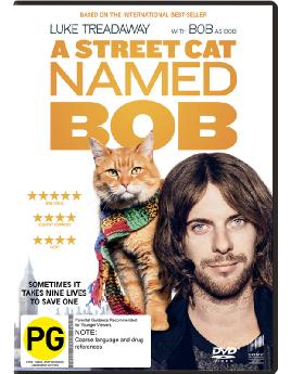 A street cat named Bob