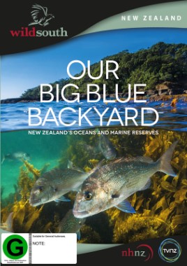 "Our Big Blue Backyard"