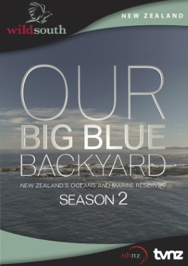 "Our Big Blue Backyard"