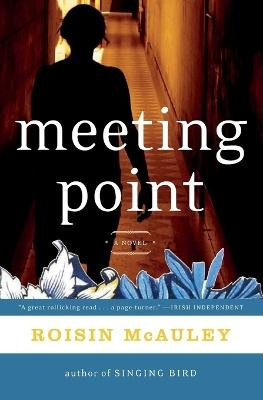 "Meeting Point" by McAuley, Roisin