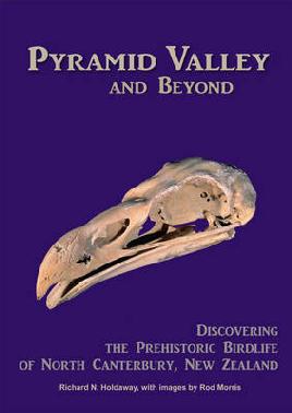 Pyramid Valley and Beyond