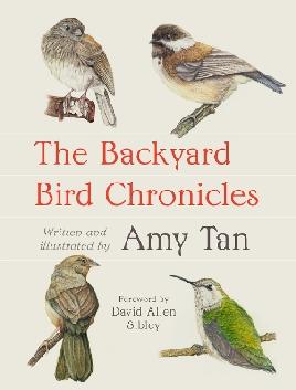 Backyard Bird Chronicles