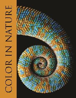 "Color in Nature"