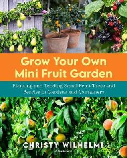 Grow your Own Mini Fruit Garden
