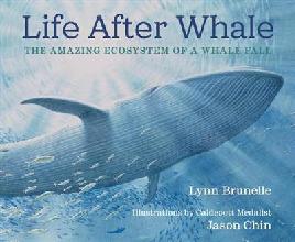 Catalogue search for Life after whale