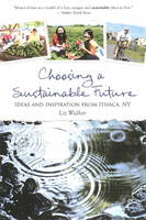 Choosing A Sustainable Future