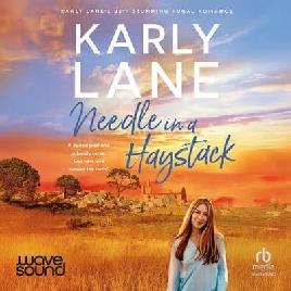 Needle in A Haystack