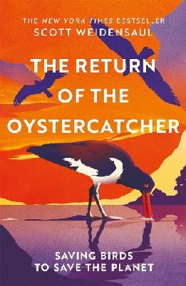 "The Return of the Oystercatcher" by Weidensaul, Scott
