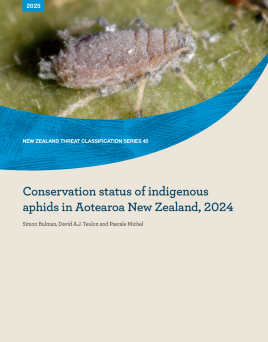 Conservation Status of Indigenous Aphids in Aotearoa New Zealand, 2024