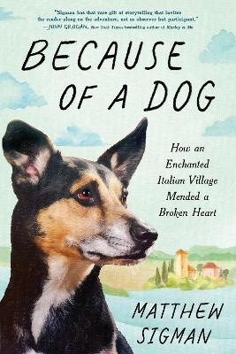 "Because of A Dog" by Sigman, Matthew