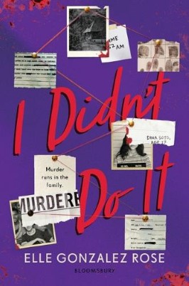 "I Didn't Do It" by Rose, Elle Gonzalez