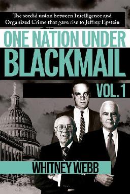 Cognitive Infiltration: An Obama Appointee&#39;s Plan to Undermine the 9/11 Conspiracy Theory [洋書] 51RyMzXfMCL._AC_SY200_QL15_.jpg
