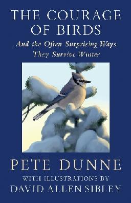 "The Courage of Birds" by Dunne, Pete, 1951-