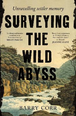 "Surveying the Wild Abyss" by Corr, Barry