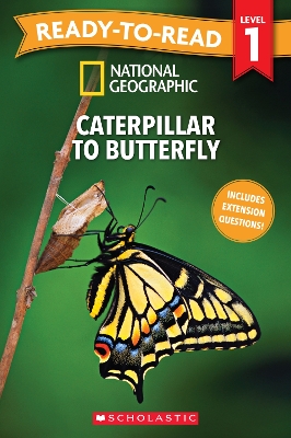 "Caterpillar to Butterfly"