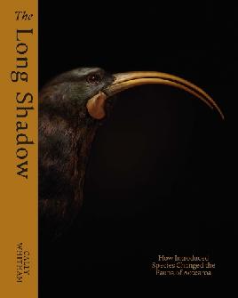 "The Long Shadow" by Whitham, Cally
