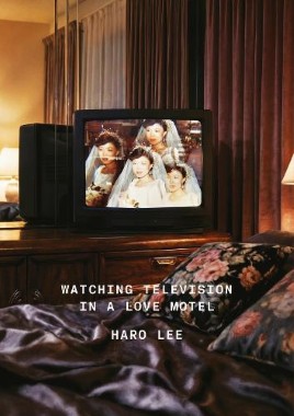 "Watching Television in A Love Motel" by Lee, Haro