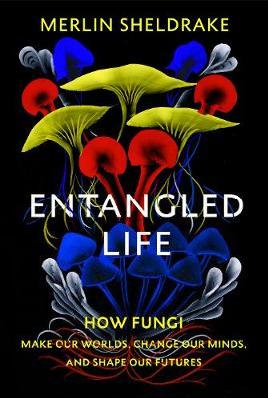 Catalogue search for Entangled life