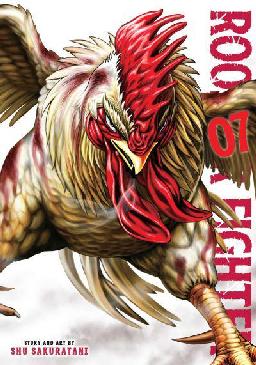 Rooster Fighter