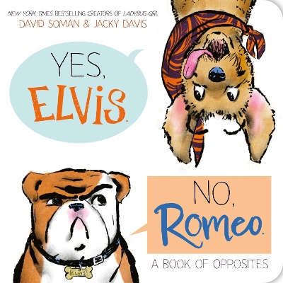 "Yes, Elvis. No, Romeo" by Davis, Jacky, 1966-