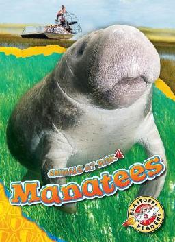 Manatees