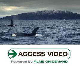 "North Atlantic, The Dark Ocean - Episode 2"