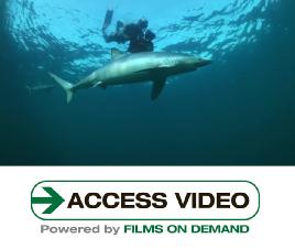 "North Atlantic, The Dark Ocean - Episode 3"