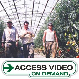 Catalogue record for El Contrato (Streaming video)