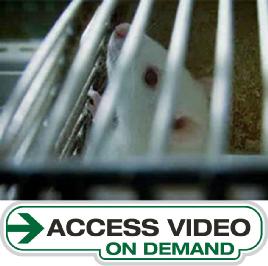 "Scientists Under Attack"