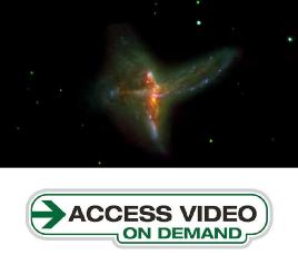 "Endless Forms Most Beautiful"