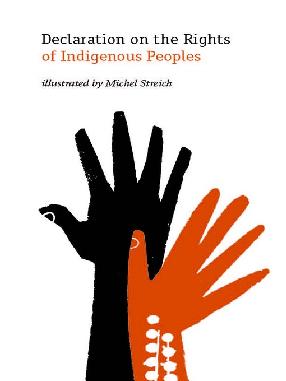 Catalogue record for Declaration on the Rights of Indigenous Peoples