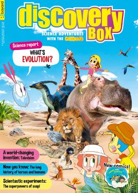 Discovery Box