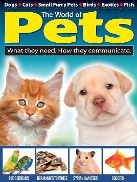 World of Pets World of Pets