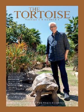 Tortoise Magazine