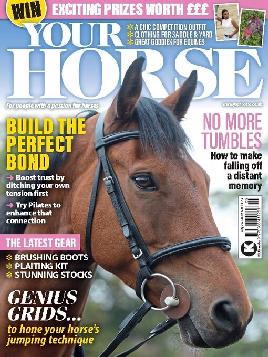 Your Horse