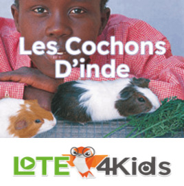 Les cochons d'Inde