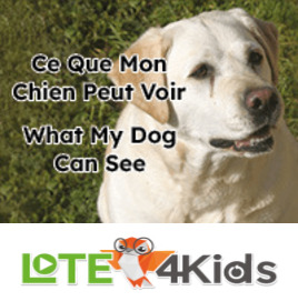 Ce Que Mon Chien Peut Voir