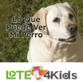Lo que puede ver mi perro