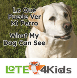 Lo que puede ver mi perro
