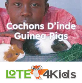 Cochons d'Inde