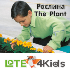 Рослина