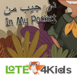 در جیب من