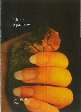 Little Sparrow