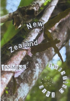 New Zealand Jasmine