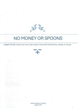 No Money or Spoons