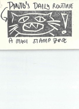 Pinto's Daily Routine