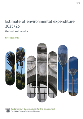 Estimate of Environmental Expenditure 2025/26