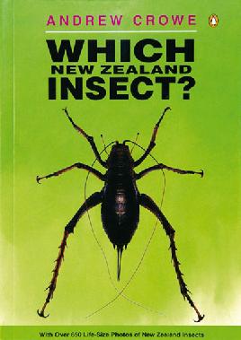 Cover of Which New Zealand Insect?